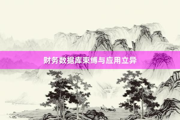 财务数据库束缚与应用立异
